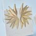Gold Wing Personality Niche Design Sense Stud Earrings Leaf Jewelry For Women_ipsvogv.com