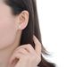 Women’s Jewelry Set Fashion Ins Fashion Temperament Earrings Female Star All Match Ear Jewelry Cold Style Earrings Electroplating_ipsvogv.com
