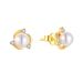 Light luxury inlaid zircon pearl earrings for women S925 sterling silver plated with 14K gold fashion earrings jewelry_ipsvogv.com