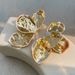 Ins Style Metal Pleated Petal For Women With Exaggerated Three-dimensional Flower Border Earrings_ipsvogv.com