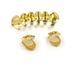 Hot Sale Hip Hop Fashion Accessories Teeth Grills Gold Braces_ipsvogv.com