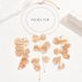 Feng women's jewelry set, niche flower earrings necklace, high-end tassel design, earring accessories_ipsvogv.com