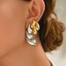 Fashion Light Luxury Style Women's Earrings Set Niche Wheat Ear Electroplating Design Earrings Versatile Earrings_ipsvogv.com
