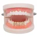 & White Gold Iced Out A-Z Custom Letter Grillz Full Dia DIY Fang Grills Bottom Tooth Cap Hip Hop Dental Mouth Teeth_ipsvogv.com