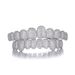 Hip hop braces inlaid with diamond jewelry accessories 10 teeth HIPHOP copper inlaid zirconium full diamond braces jewelry_ipsvogv.com