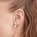 Women's Jewelry Two Wear Pearl Earrings Light Luxury High End Design One Piece Two Wear Earrings Ear Jewelry_ipsvogv.com