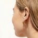 Women's Jewelry Metal Swirl Earrings Light Luxury High End Design Sense Fashion Temperament Unique Personality Earrings_ipsvogv.com