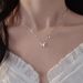 Silver Plated Butterfly Necklace 2024 New Popular Item Light Luxury High-end Necklace Niche Women's Collarbone Chain_ipsvogv.com