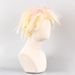 Weird Punk Style Wig Highlights Short Curly Hair cosplay wig_ipsvogv.com