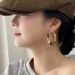 Personalized leopard print Kusa acrylic exaggerated earrings temperament circle earrings 2024 new trendy women European and American fashion_ipsvogv.com