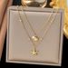 2025 New Starfish Shell Necklace, Female Niche Design, Internet Celebrity Ins, Cool Style Collarbone Chain_ipsvogv.com