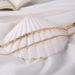 New Best-selling Necklace Ins A Cool And Niche Design Feel. Aircraft Fishbone With Double-layer Collarbone Chain For_ipsvogv.com