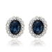 Unisex popular fashion earrings,crystal rose gold plated earrings_ipsvogv.com