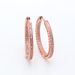 Women's Jewelry Large Rose Gold Shining Heart Earrings Light Luxury Hollow Love Heart Shaped Earrings Gift_ipsvogv.com