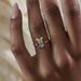 simple And Cute Teddy Bear Ring, Niche Design, Amusement Park Series Accessories, Birthday Gifts_ipsvogv.com