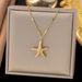 2025 New Starfish Shell Necklace, Female Niche Design, Internet Celebrity Ins, Cool Style Collarbone Chain_ipsvogv.com