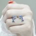 Cao Shi Japanese Korean Style Small Fresh Simple Sweet Blue Dolphin Earrings Female Jewelry_ipsvogv.com