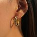 Unisex Fashionable Niche INS Retro Stainless Steel Coral Full Diamond Zircon Earrings_ipsvogv.com