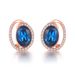 Unisex popular fashion earrings Rose gold plated blue stone hot selling jewelry_ipsvogv.com