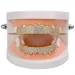 Gold Plated Copper Hip Hop Iced Out Vampire Teeth Fang Grillz Dental Mouth Grills Braces Tooth Cap Rock Rapper Jewelry_ipsvogv.com