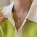 2023 New Titanium Steel Color Preservation Temperament Light Luxury Instagram Style Exquisite Shell Avocado Necklace_ipsvogv.com