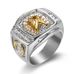 Men's Jewelry Popular Hip Hop HIPHOP Jewelry Titanium Steel Gold Plated Diamond Horse Head Men's Ring_ipsvogv.com