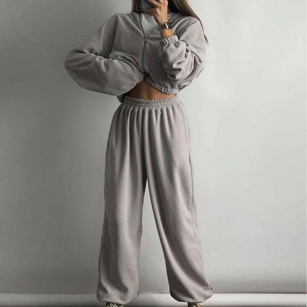 Women's Clothing women's silver fox fleece sweatshirt two piece suit women's stock 1213_ipsvogv.com