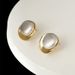 Earrings Sterling Silver Two-color Brushed Earrings Light Luxury Autumn And Winter Niche Ins Style Earrings Women's High-end Jewelry_ipsvogv.com