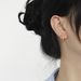 Women's Jewelry Geometric Metal Style Double Layer Round Micro Inlaid Zircon Ear Clip Ear Jewelry_ipsvogv.com