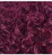 Pixie Short Bob Wigs 100% Human Hair For Women 1B 99j Wine Colored Short Bob Curly Wig_ipsvogv.com