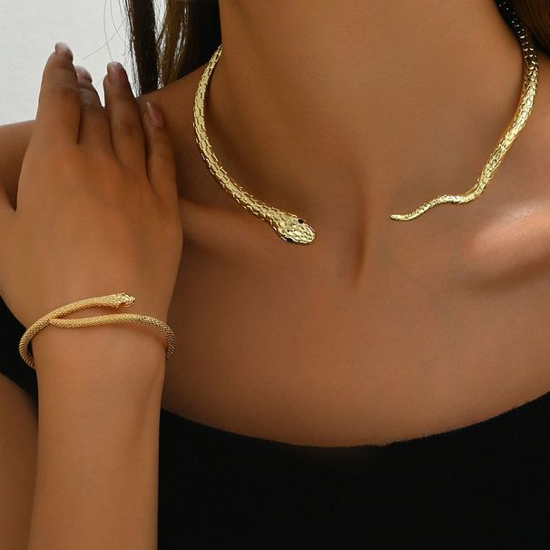 Minimalist women's necklace bracelet set with personalized snake and diamond inlay design, alloy collar jewelry_ipsvogv.com
