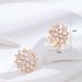 Simple And Fresh Japanese And Korean Style Earrings For Women Inlaid With Zircon Niche Design Snowflake Earrings Personality Full Diamond Earrings_ipsvogv.com