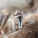 Cao Shi Open Copper Little Mouse Circles Cute Animal Female Finger Ring_ipsvogv.com