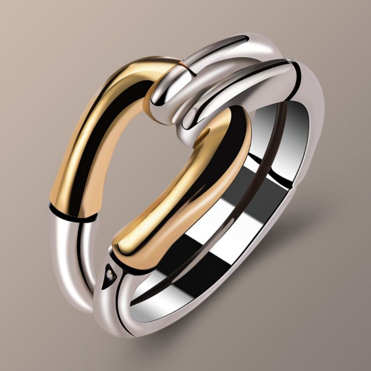 Sanjie Ins Style Geometric Bone Bamboo Creative Plating Two Tone Ring Female_ipsvogv.com