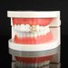 Body Jewelry New Hip Hop Single Dollar Braces Dollar Zircon Halloween Braces Teeth Grillz Accessories_ipsvogv.com