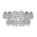 Hot Sale Hip Hop Braces New Two Row Flat Teeth Diamond Braces Hiphopgrillz_ipsvogv.com