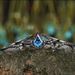 Sanjie Gun Black Three Piece Women's Set With Irregular Rainbow Stone Inlaid Couple's Ring_ipsvogv.com