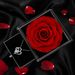 Double Heart Pendant For Women, Hot Selling Temperament, Versatile And High-end, Collarbone Necklace Accessory_ipsvogv.com