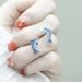 Cao Shi Japanese Korean Style Small Fresh Simple Sweet Blue Dolphin Earrings Female Jewelry_ipsvogv.com