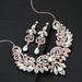 New Fashion Accessories Earrings Necklace Two-Piece Set Two-Tone High Gloss Rhinestone Alloy_ipsvogv.com