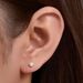 Women's Jewelry S925 Silver Earrings Small Fresh Simple Mini Temperament Single Diamond Earrings_ipsvogv.com