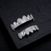 Canine mirror mixed inlay hip hop trend braces inlaid with diamonds HIPHOP copper inlaid zirconium full diamond braces_ipsvogv.com