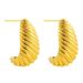 Unisex Earrings Personalized Niche Exaggerated Crescent Design Thread Earrings Simple Plain Hoop Earrings_ipsvogv.com