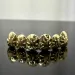 YOUNGX Top Bottom Maple Leaves Pattern Tooth Caps Braces Hip Hop Glossy Teeth Grillz For Women Men Jewelry Dental_ipsvogv.com