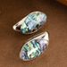 Hot Selling Fashionable Colorful Abalone Earri, Light Luxury Temperament, High-end Feeling, Shell Silver Needle_ipsvogv.com