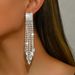Unisex Long Diamond Tassel Earrings Exaggerated Fashion Temperament Earrings Light Luxury High End Hot Ear Jewelry_ipsvogv.com