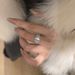 1431 People's New 【 Collection 】 Chinese Style Glass Egg Face Ring, Zircon Round Jadeite Temperament, Simple And 【 】 Ring, Temperament,_ipsvogv.com
