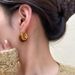 Women's Jewelry Maillard Style Zhang Resin Earrings Light Luxury Niche Design High End Versatile Earrings_ipsvogv.com