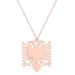 Fashion Casual Albanian Eagle Pendant Necklace For Women Men Double Headed Eagle Animal Stainless Steel Choker Chain Jewelry_ipsvogv.com