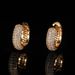 Hip Hop Bubble Zircon Round Earrings, High Grade Silver Needle For Men's Earrings_ipsvogv.com